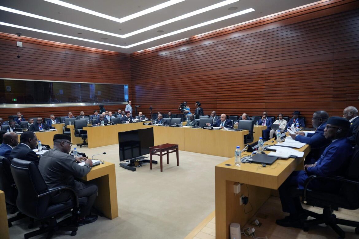 المنفي يدعو لرفع "الظلم التاريخي" عن إفريقيا